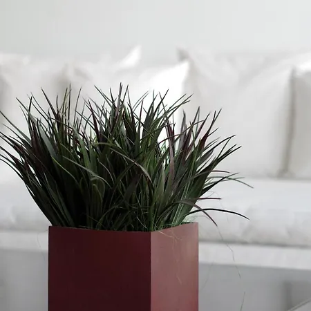 Il Flat Apartment